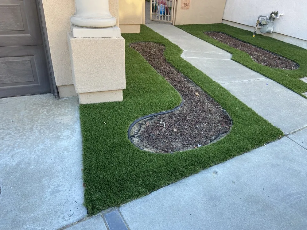 Trusted yard cleanup service in San Diego, CA - DSA Landscape