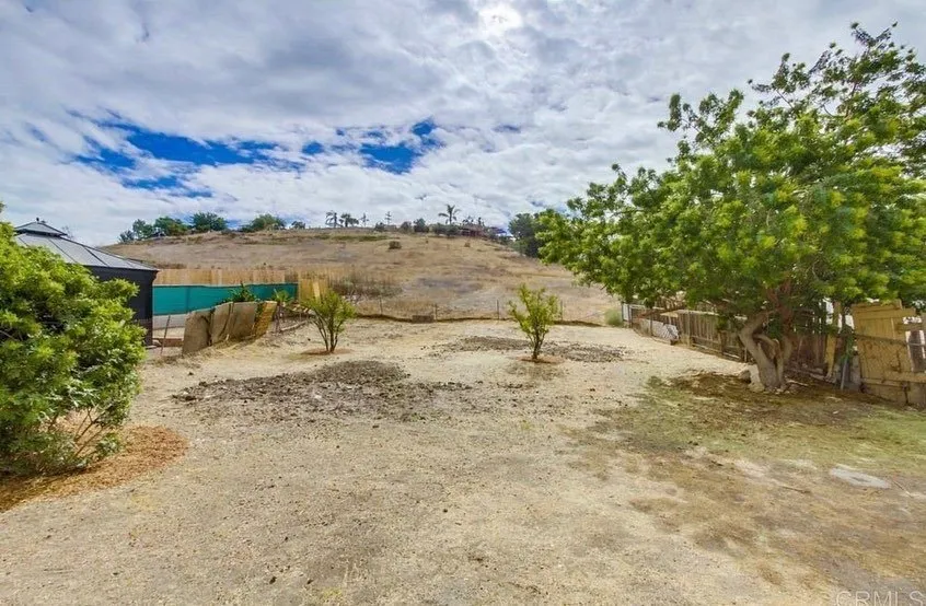 Custom yard maintenance experts serving San Diego, CA - DSA Landscape