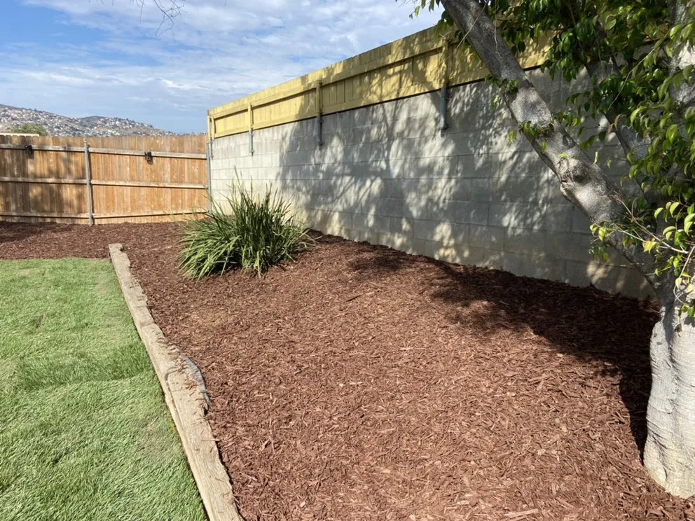 Expert landscape design in San Diego, CA - DSA Landscape