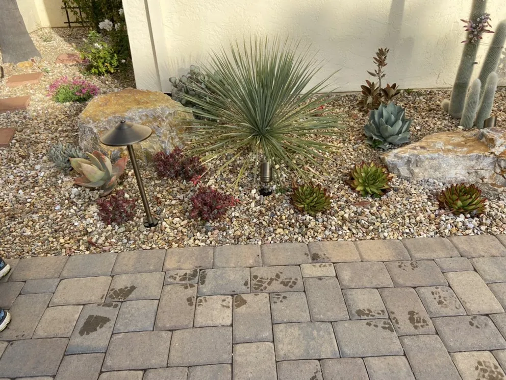 Custom residential landscaping for beautiful yards across San Diego, CA - DSA Landscape