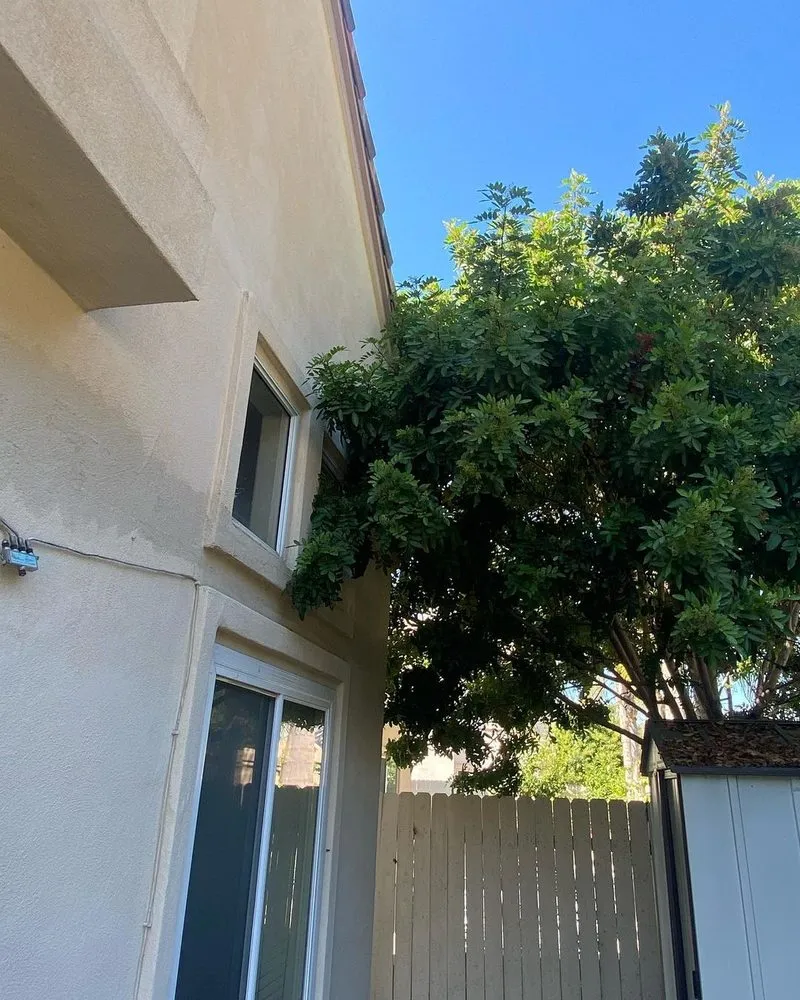 Reliable landscape installation experts serving San Diego, CA - DSA Landscape