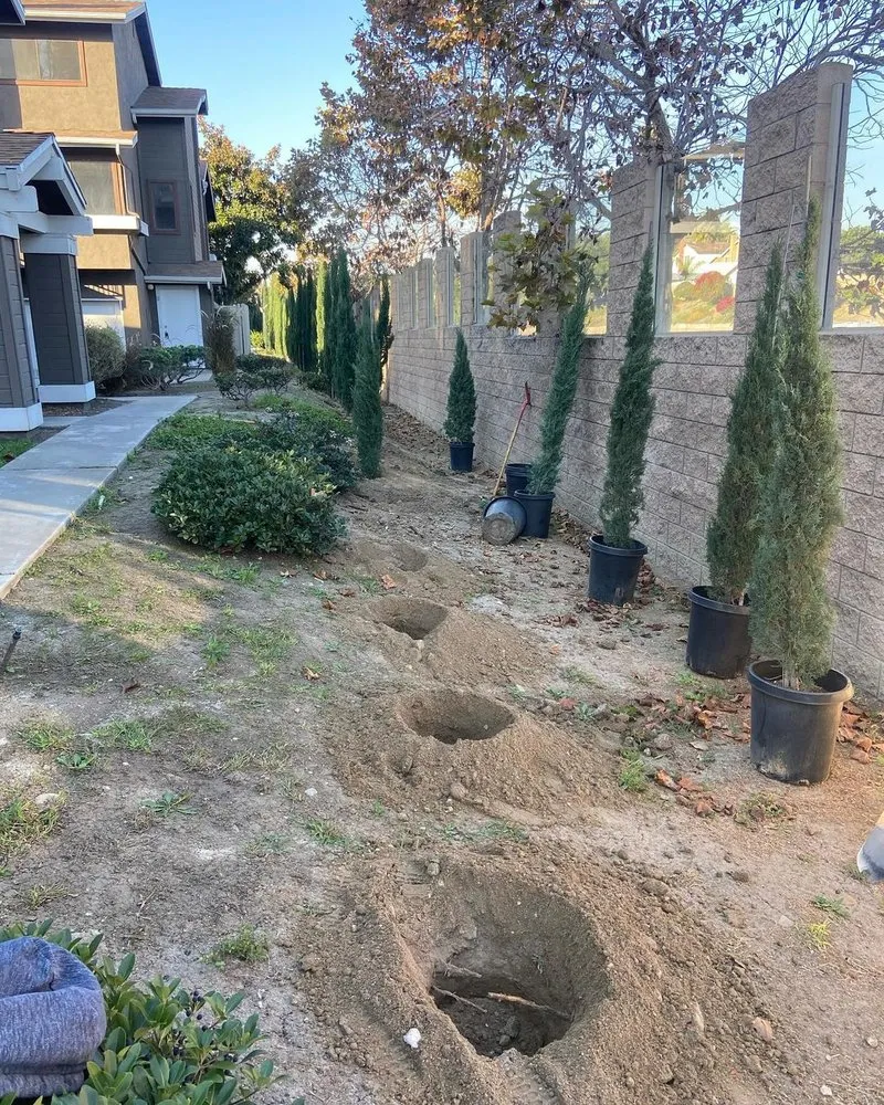 Local landscape design for residential properties in San Diego, CA by DSA Landscape