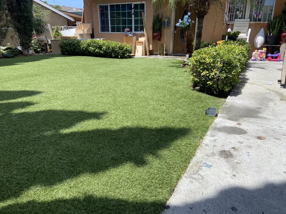 Custom yard cleanup service experts serving San Diego, CA - DSA Landscape