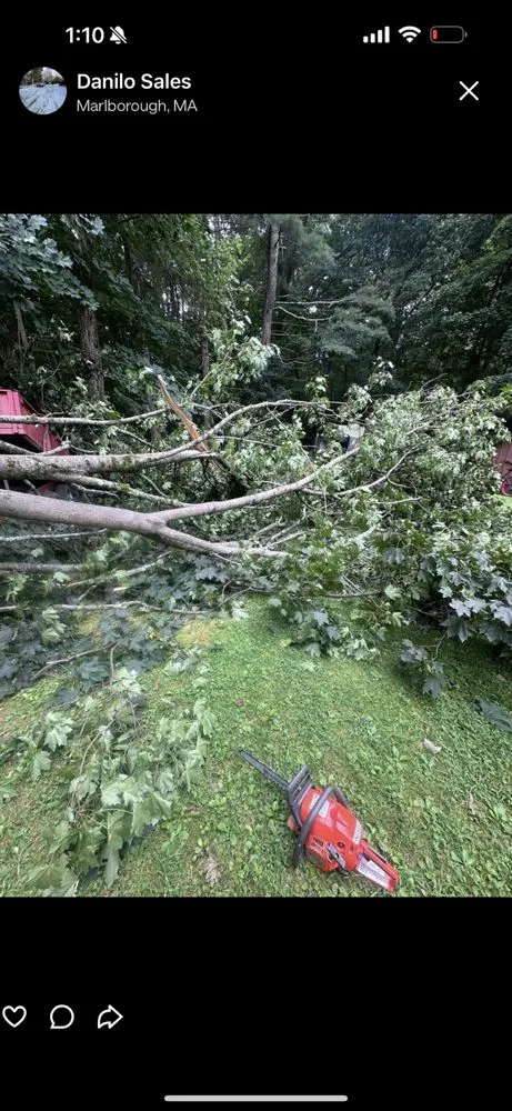 Top-rated lawn mowing service near you across Rockland, MA - Dsales Construcion