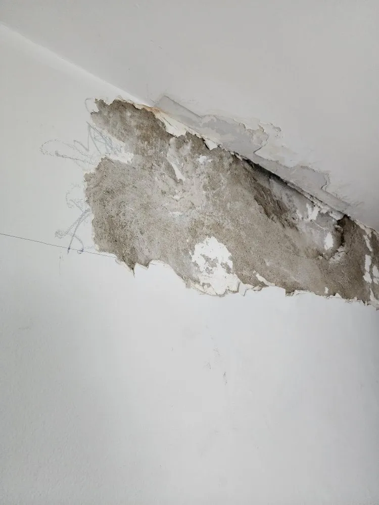 Local yard maintenance in New Bedford, MA - DSD Services