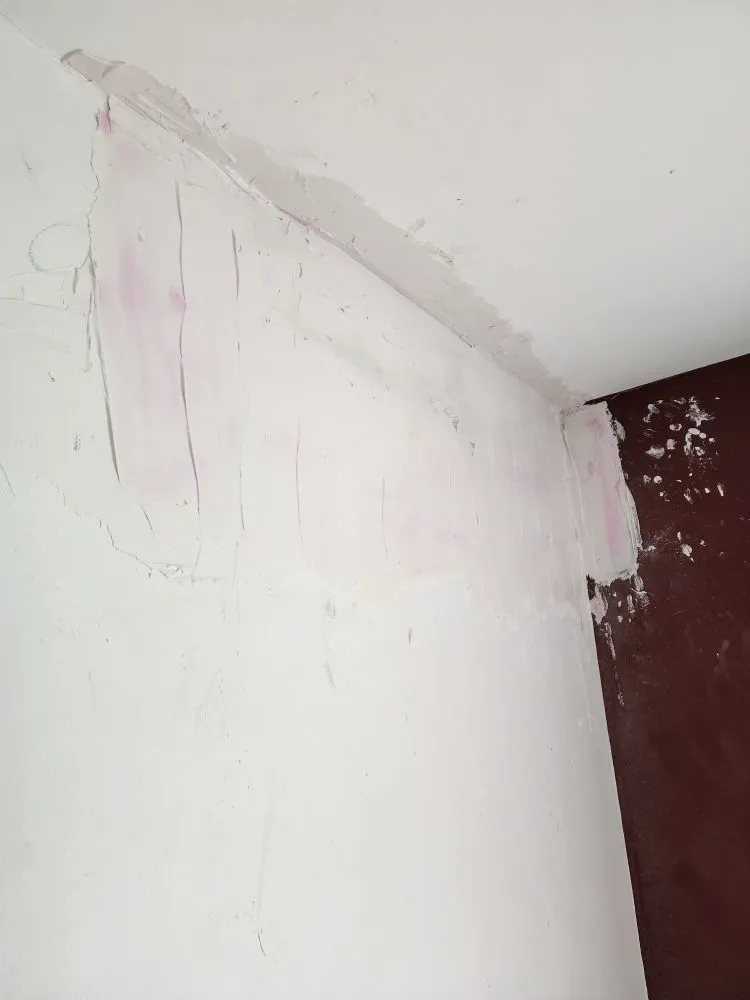 Custom yard cleanup service in New Bedford, MA by DSD Services