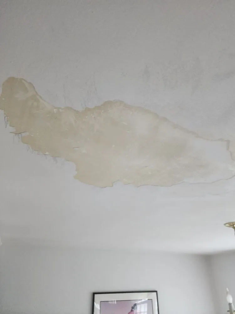 Local outdoor landscaping in New Bedford, MA - DSD Services