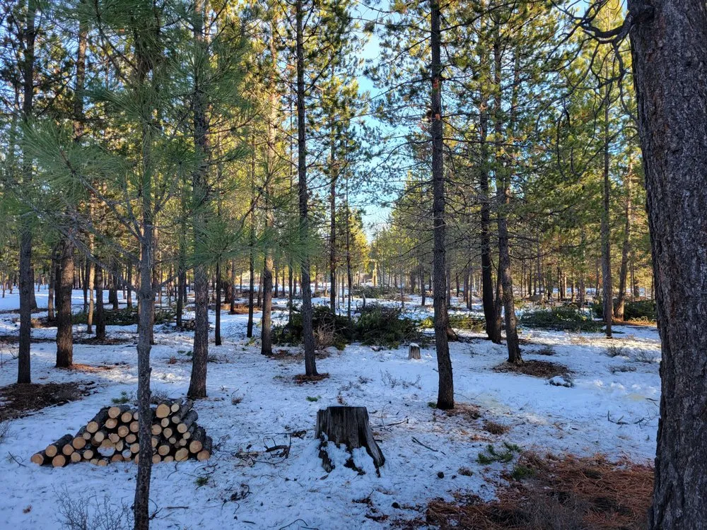 Professional landscape design for year-round maintenance in La Pine, OR by DSE Defensible Space Experts