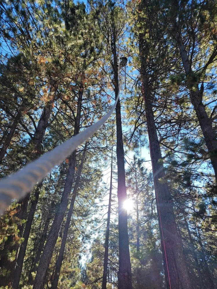 Professional garden landscaping in La Pine, OR by DSE Defensible Space Experts