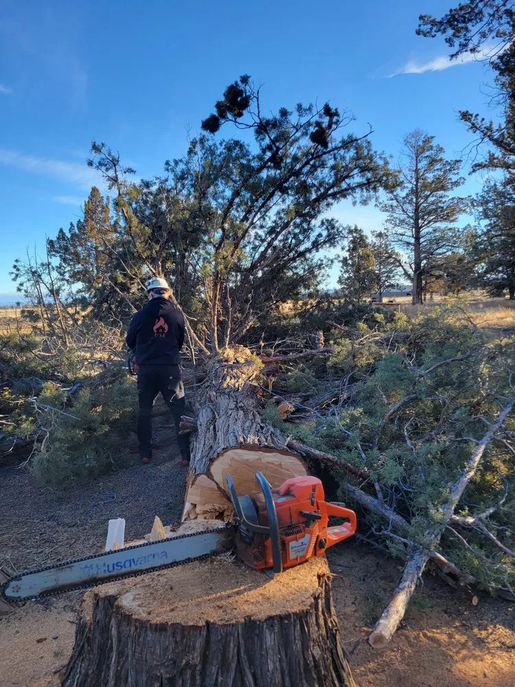 Affordable lawn mowing service experts serving La Pine, OR - DSE Defensible Space Experts