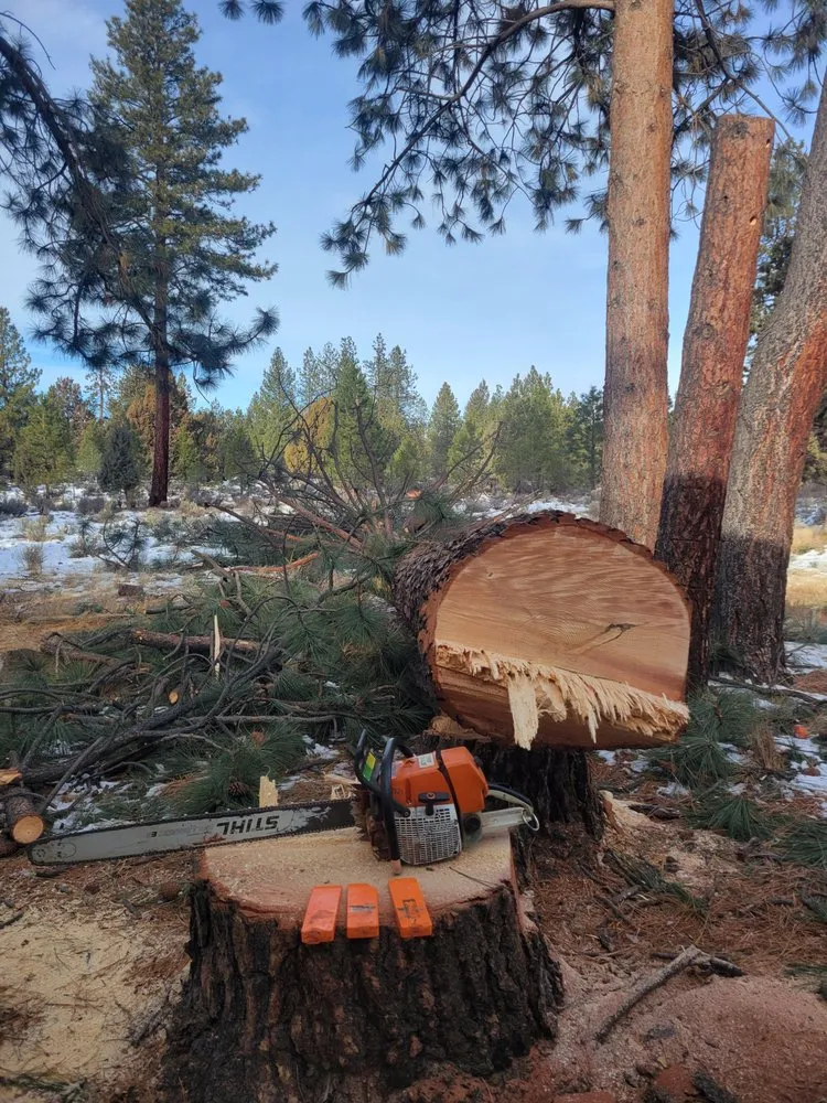 Professional residential landscaping in La Pine, OR - DSE Defensible Space Experts