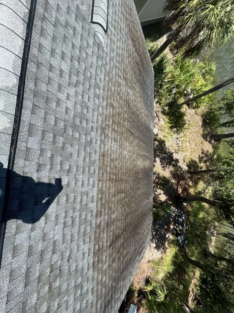 Reliable landscaping services experts serving Beaufort, SC - DSE Pressure Washing Plus