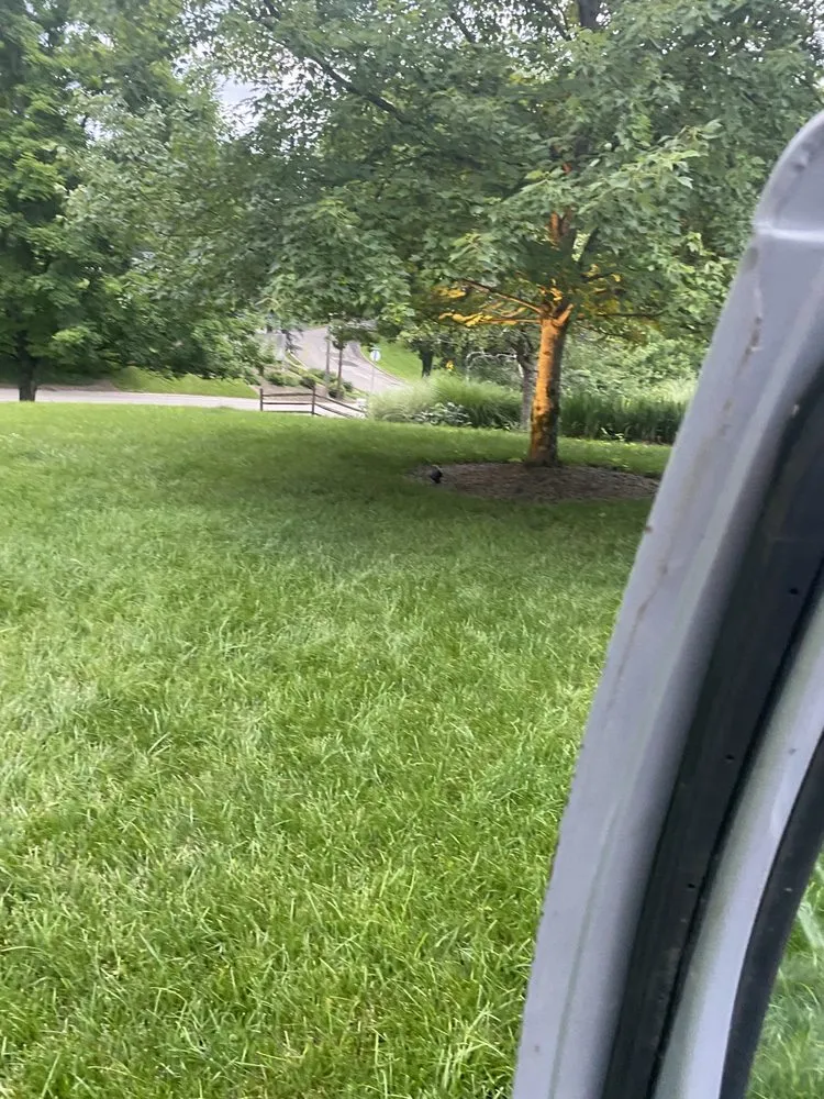 Reliable yard cleanup service experts serving Cincinnati, OH - Dserv Lawn Care