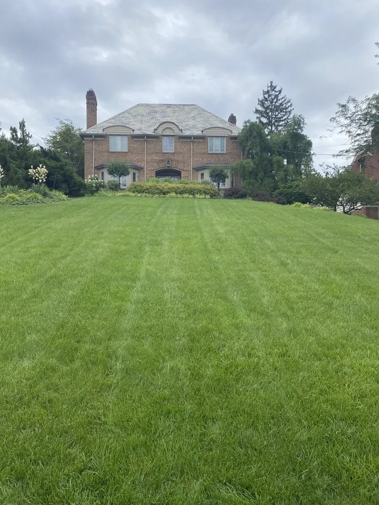 Expert yard cleanup service for beautiful yards in Cincinnati, OH by Dserv Lawn Care