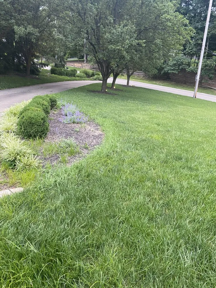 Local garden landscaping in Cincinnati, OH - Dserv Lawn Care