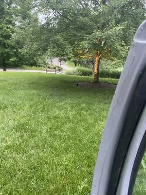 Dserv Lawn Care Logo