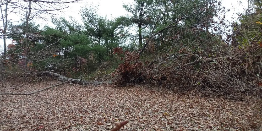 Affordable landscape design for outdoor upgrades across Chesterfield, VA - DSGB Construction