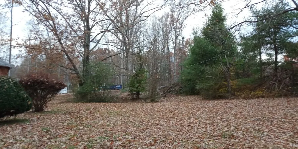 Top-rated lawn care service in Chesterfield, VA by DSGB Construction