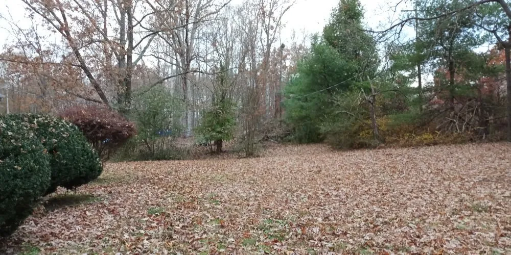 Affordable lawn mowing service in Chesterfield, VA by DSGB Construction