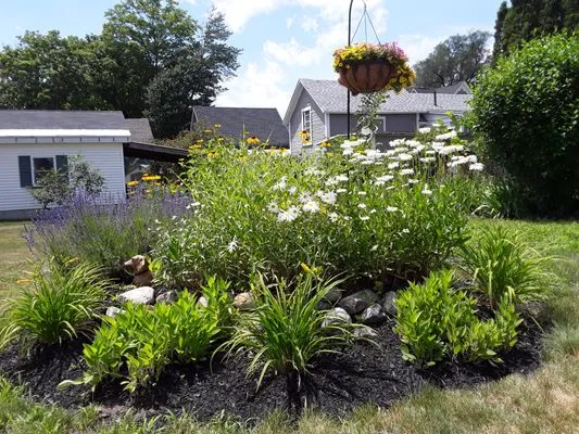 DSI Landscaping Logo