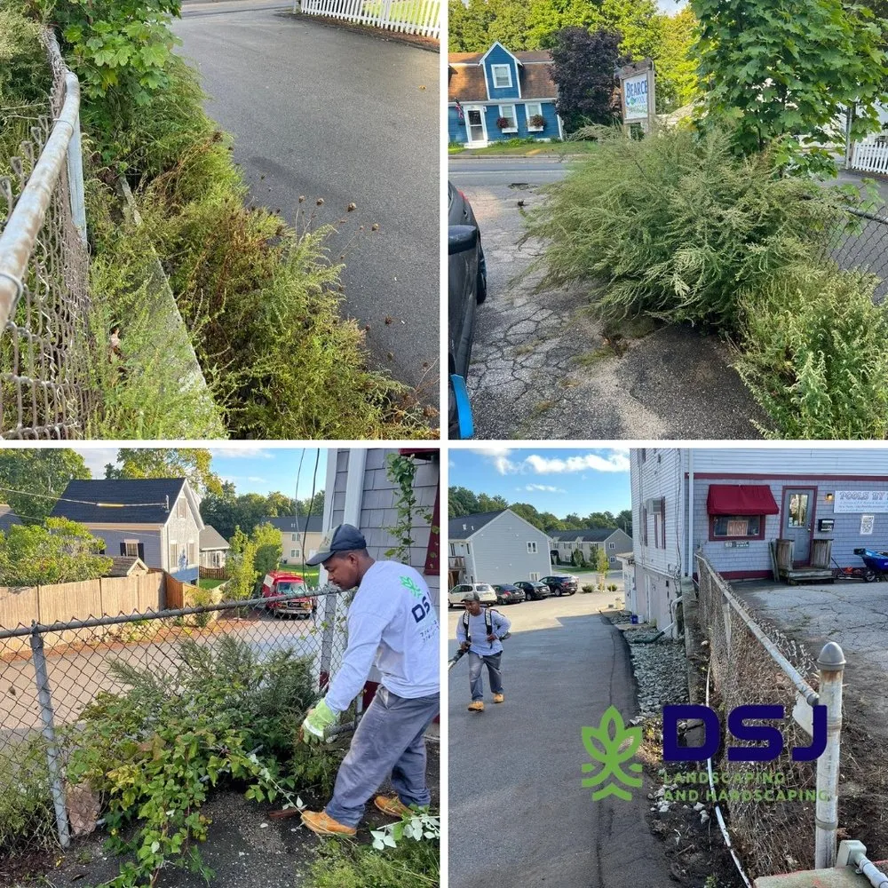 Reliable lawn care service experts serving Marshfield, MA - DSJ Landscaping and Hardscaping