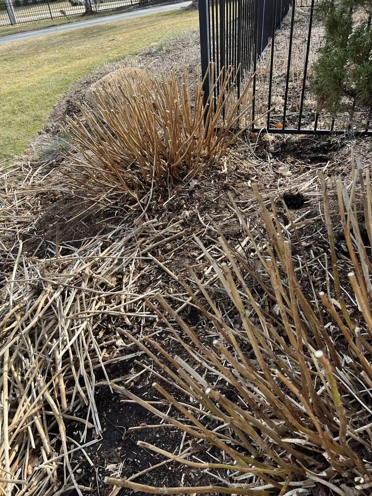 Professional yard cleanup service for residential properties across Marshfield, MA - DSJ Landscaping and Hardscaping