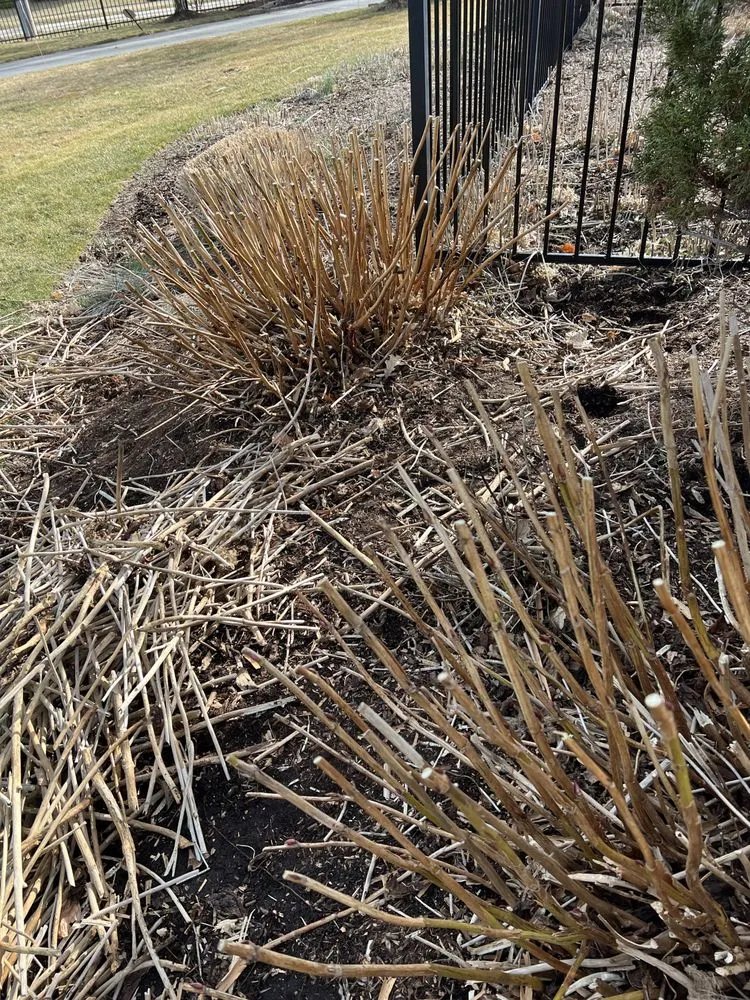 Local yard maintenance for homes across Marshfield, MA - DSJ Landscaping and Hardscaping