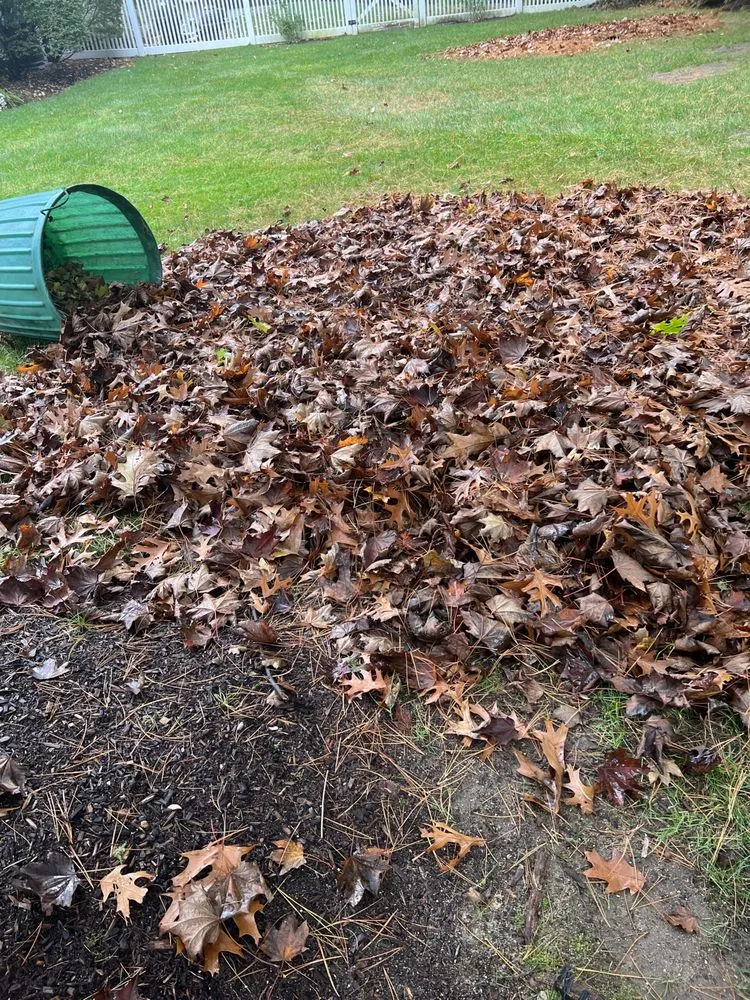 Affordable lawn care service experts serving Marshfield, MA - DSJ Landscaping and Hardscaping