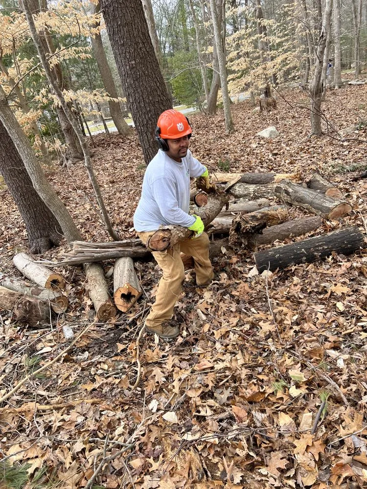Custom landscape installation in Marshfield, MA by DSJ Landscaping and Hardscaping