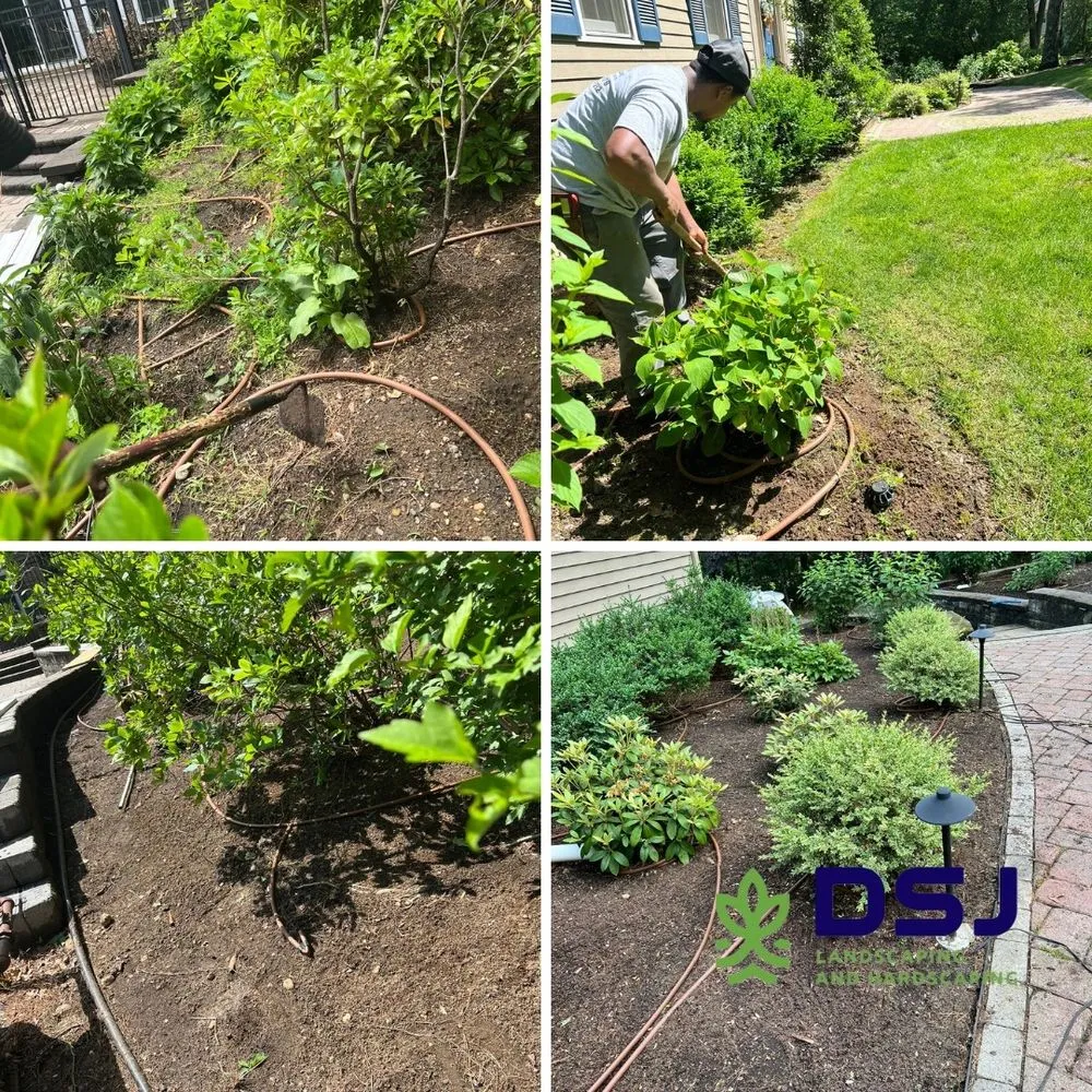 Reliable residential landscaping in Marshfield, MA by DSJ Landscaping and Hardscaping