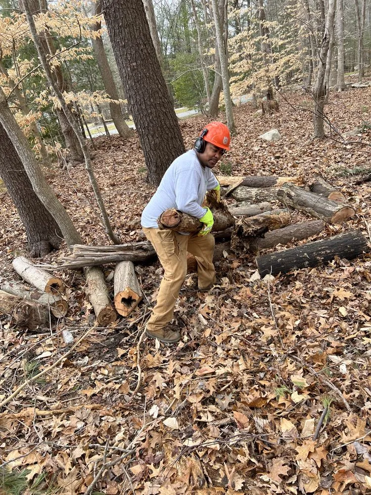 Expert garden landscaping experts serving Marshfield, MA - DSJ Landscaping and Hardscaping