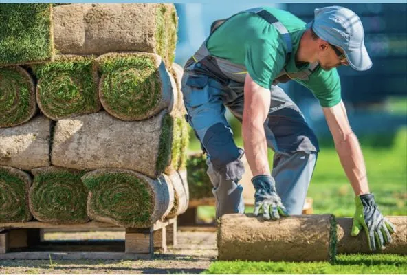 DSJ Landscaping and Hardscaping