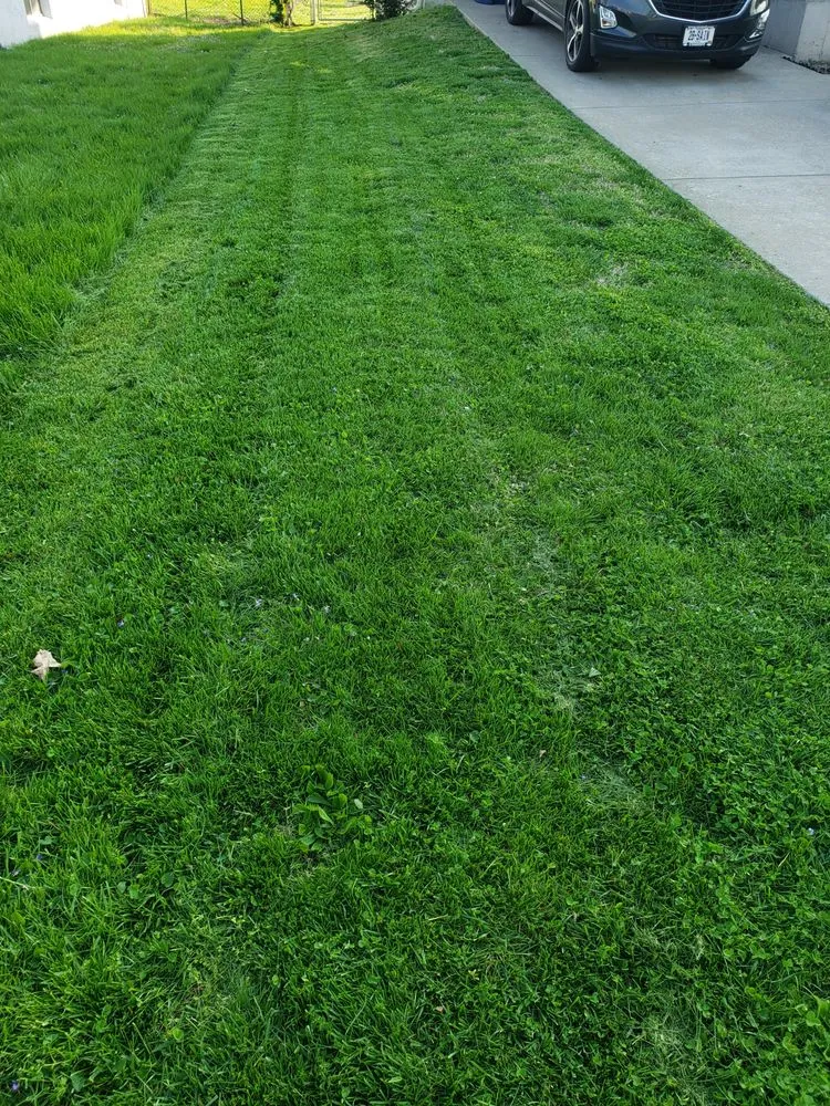 Top-rated lawn care service near you in Hazelwood, MO by DSK Lawn Care