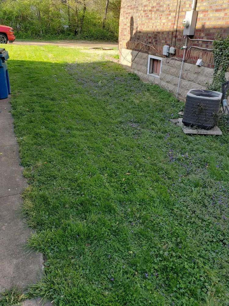 Affordable residential landscaping for year-round maintenance across Hazelwood, MO - DSK Lawn Care