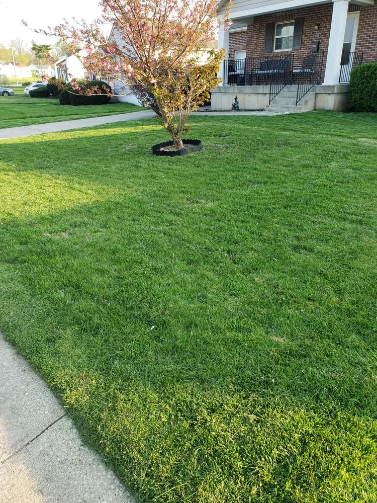 Professional yard cleanup service for homes across Hazelwood, MO - DSK Lawn Care