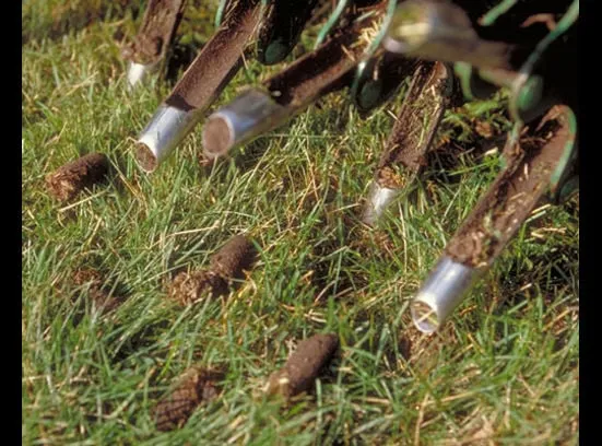 Top-rated landscape design in West Jordan, UT by DSK lawncare