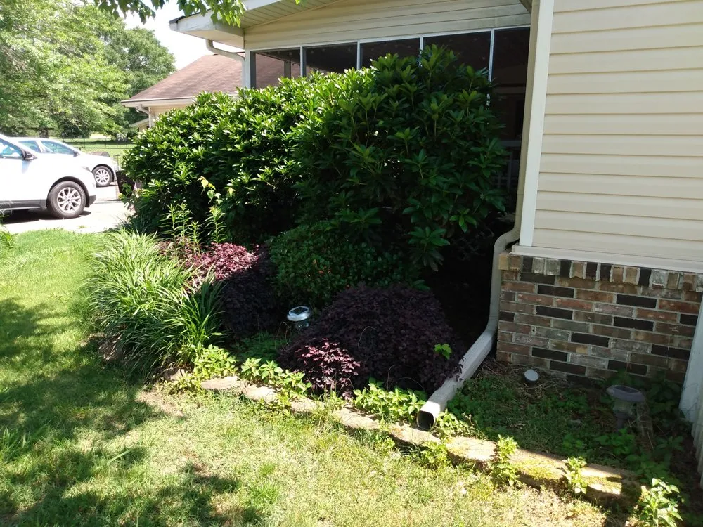 Local lawn care service for outdoor upgrades in Southside, AL by DSLandscaping Alabama