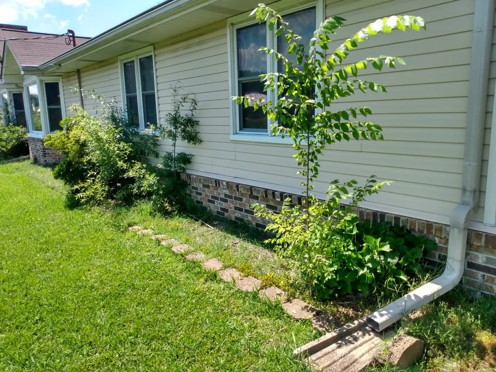 Trusted landscape installation for year-round maintenance in Southside, AL by DSLandscaping Alabama