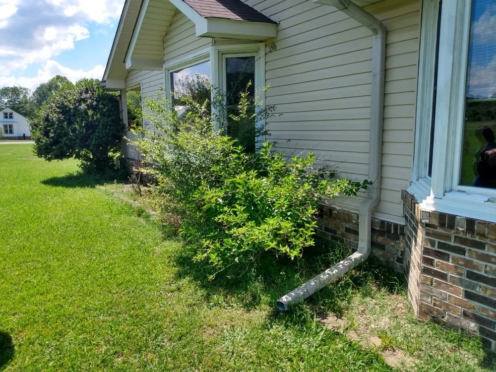 Expert landscaping services in Southside, AL - DSLandscaping Alabama