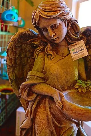 Custom lawn care service for residential properties in Birmingham, AL by DSLD Aquascapes