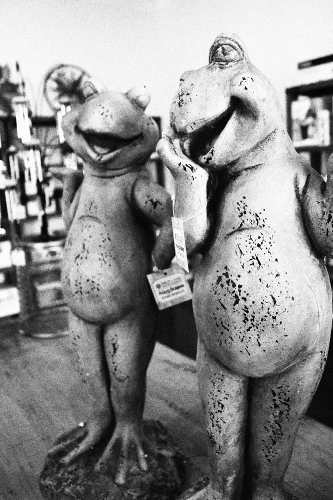 Reliable landscaping services experts serving Birmingham, AL - DSLD Aquascapes