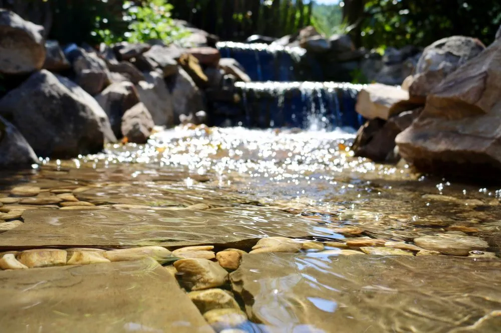 Professional lawn mowing service experts serving Birmingham, AL - DSLD Aquascapes