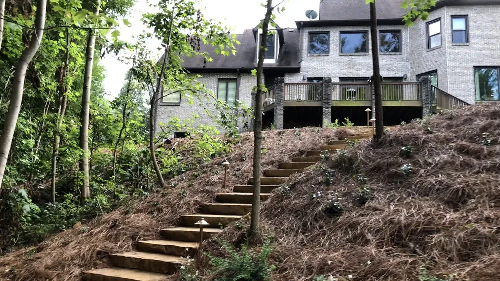 Trusted yard cleanup service in Birmingham, AL by DSLD Land Management