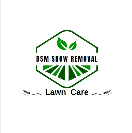 Expert lawn care service for residential properties across Des Moines, IA - Dsm Snow Removal & Lawn Care