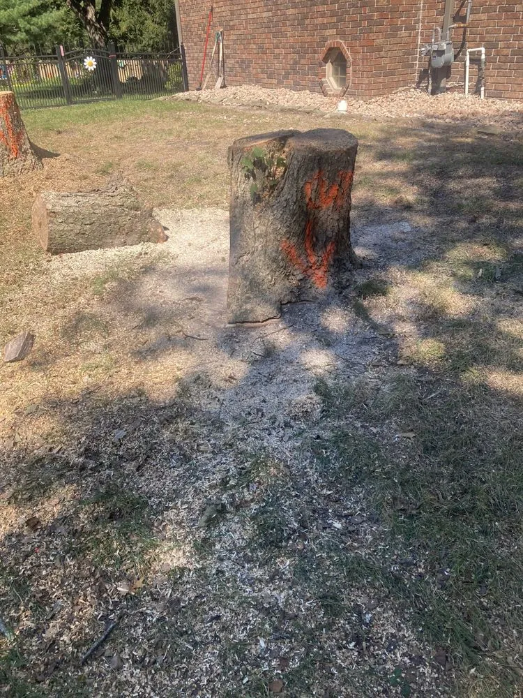 Affordable landscape design in Springfield, MO - Dsm tree service and landscape