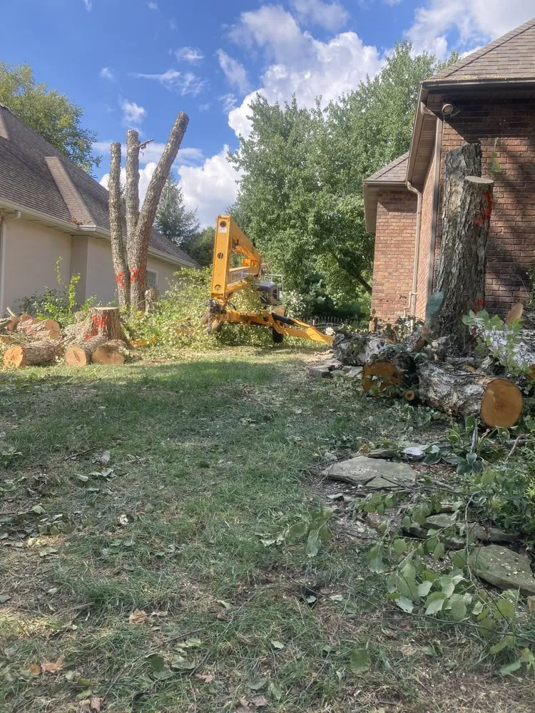 Expert landscaping services in Springfield, MO by Dsm tree service and landscape