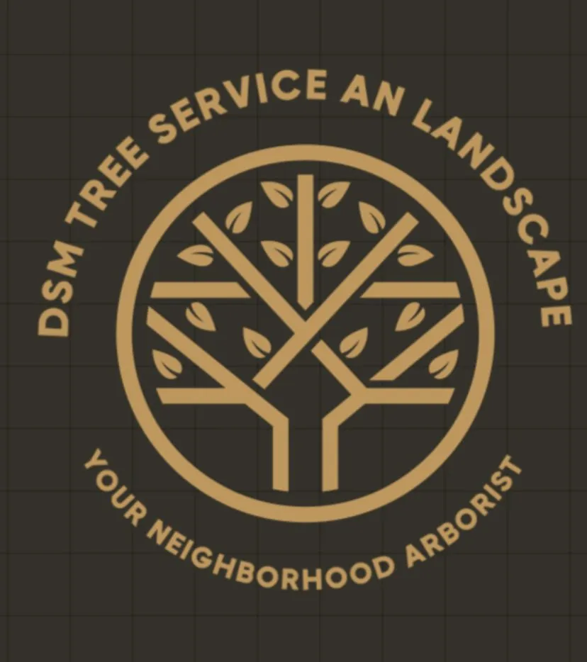 Top-rated residential landscaping in Springfield, MO - Dsm tree service and landscape
