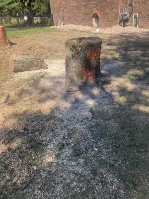 Dsm tree service and landscape Logo