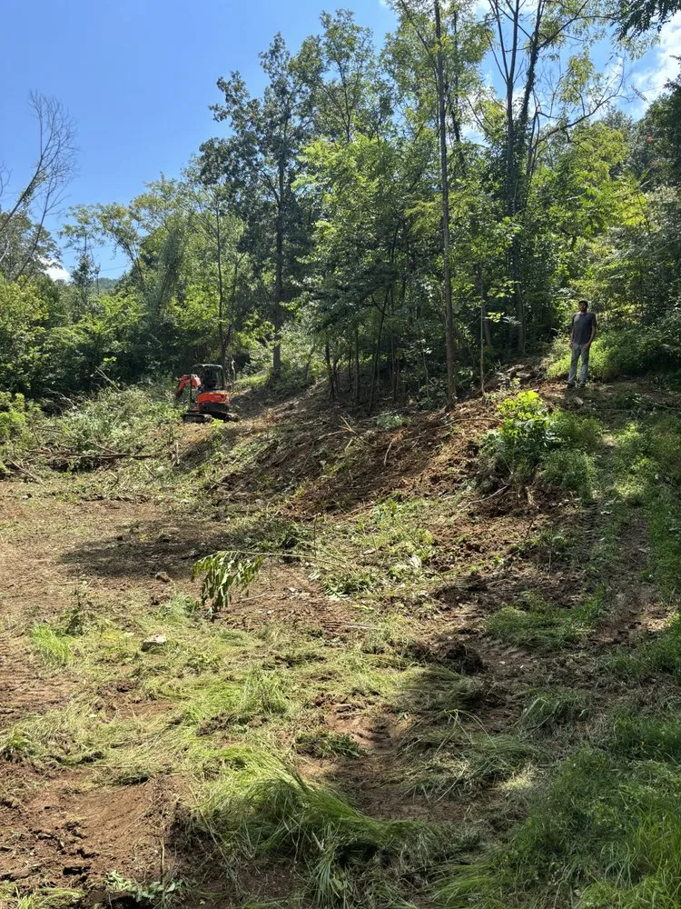 Trusted landscaping services for homes in New Market, AL by DSN Solutions