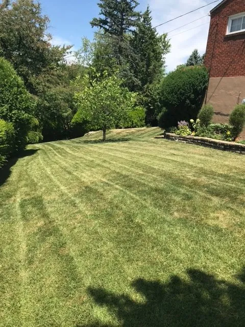Expert landscaping services in Pittsburgh, PA - Dsobes Lawn Pros